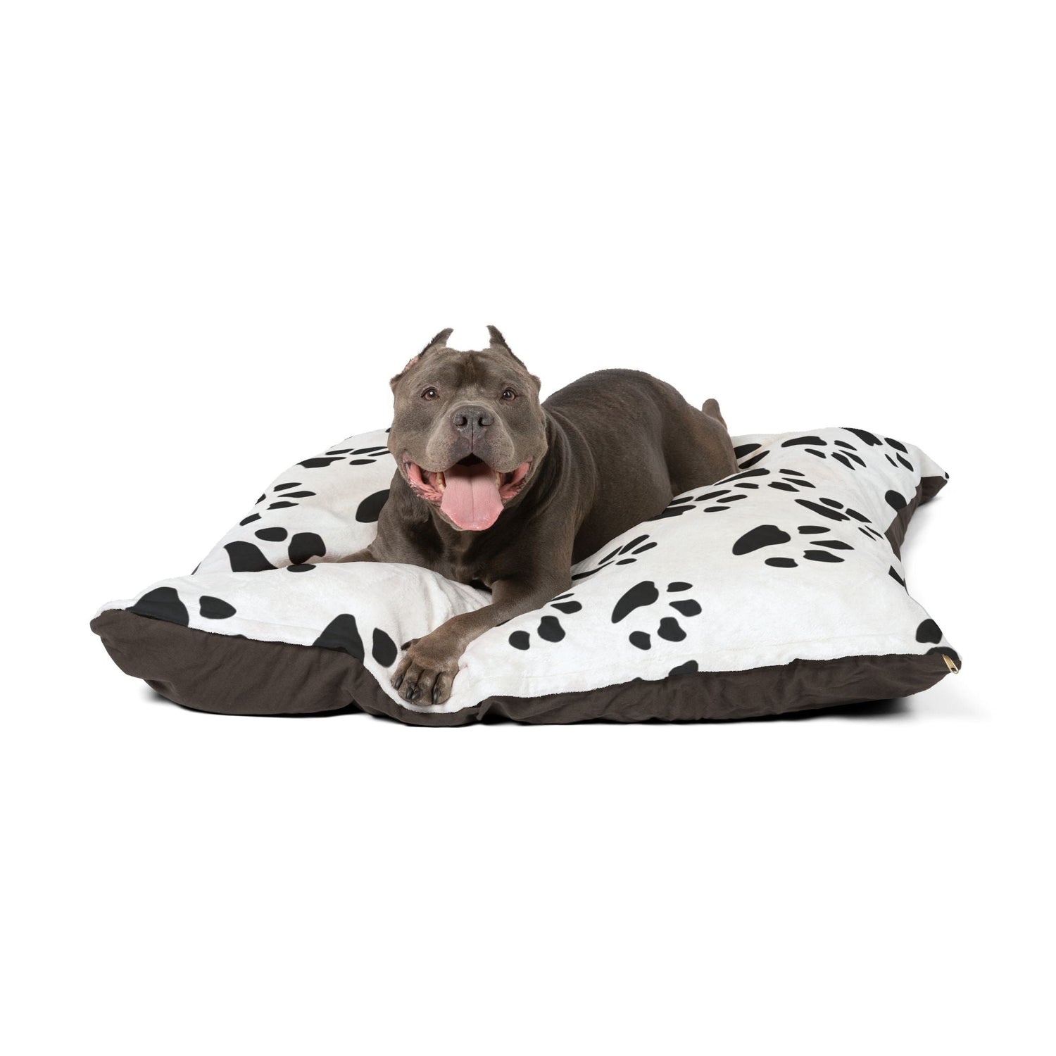 For Dogs